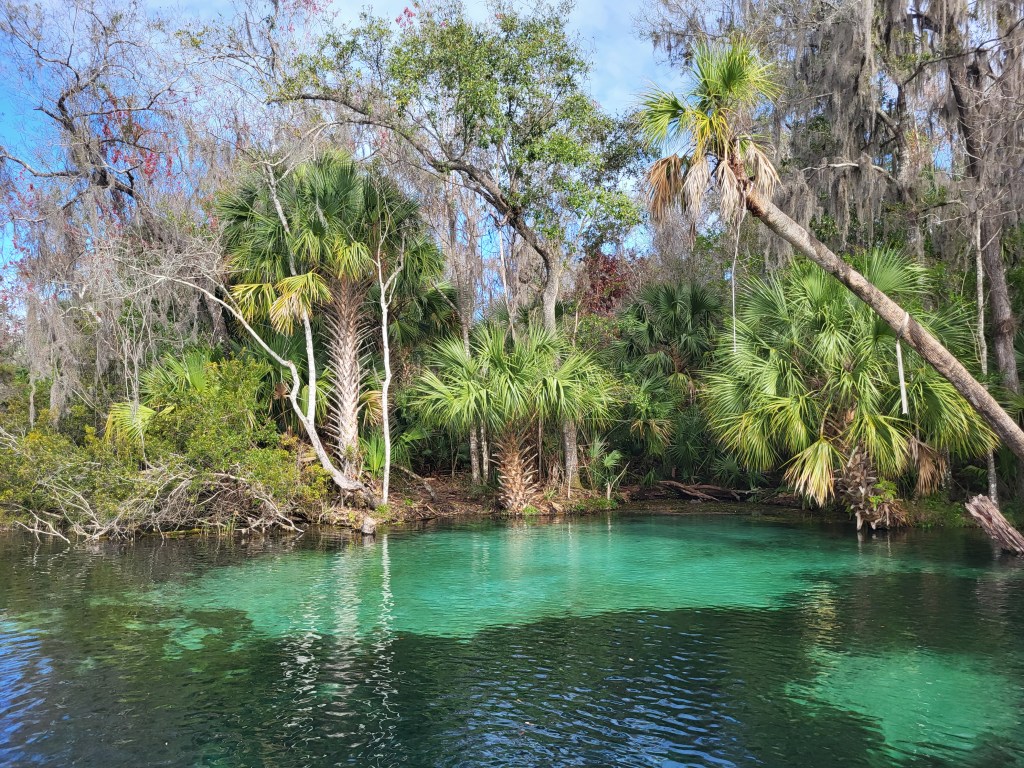 Dashboard Lights, a Paddleboard and a Business Trip